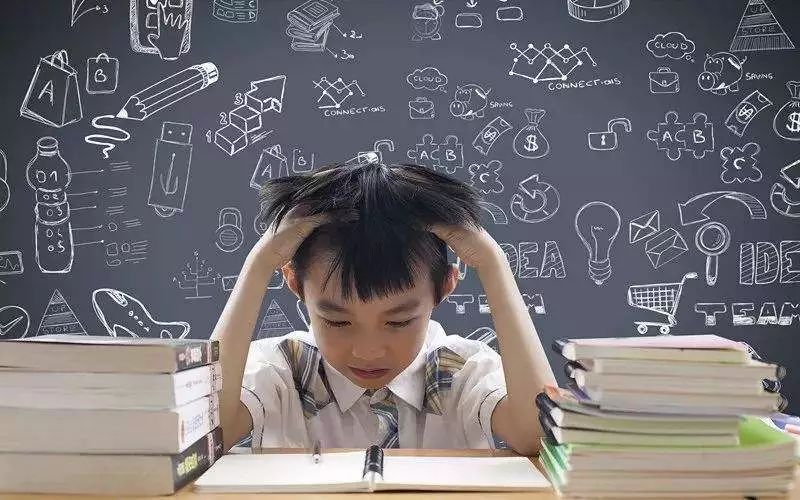 如何培养孩子的成功品质,如何培养出好成绩的孩子