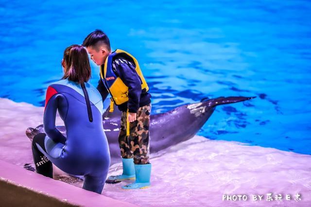 来珠海旅游必打卡的景点,春节珠海亲子游玩地方推荐