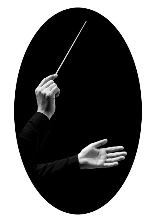 艺术良心小说,艺术良心