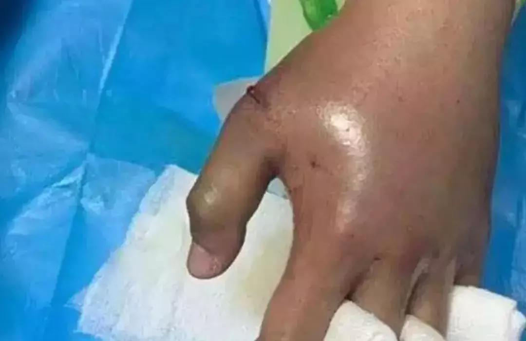 在网上买宠物靠谱要注意什么,网上买宠物有问题怎么办呢