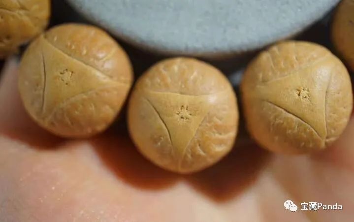 龙眼凸眼菩提,苍龙眼龙眼菩提