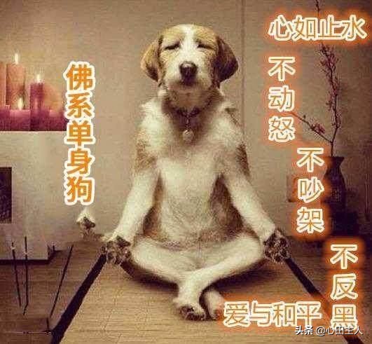 遇到小人怎么办视频,遇到小人怎么办易经