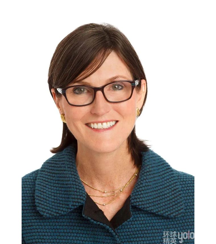 凯瑟琳巴菲特视频,女版巴菲特投资项目