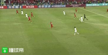 野牛进家,野牛加入国家队