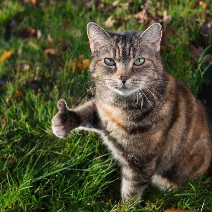 地铁2号线21日起免费试乘！25000张乘车券这样领取！