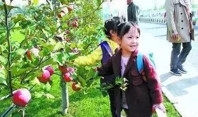 6个适合农村赚钱致富的好项目,有哪些农业致富好项目值得推荐