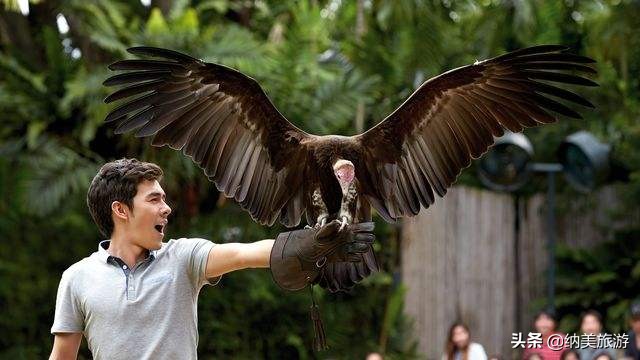 夜间野生动物园,新加坡夜间野生动物园