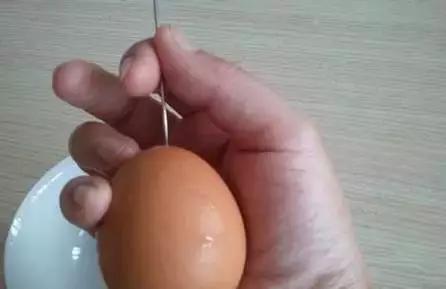 鸡蛋壳托盘手工作品创意,鸡蛋壳手工制作创意粘贴墙面画