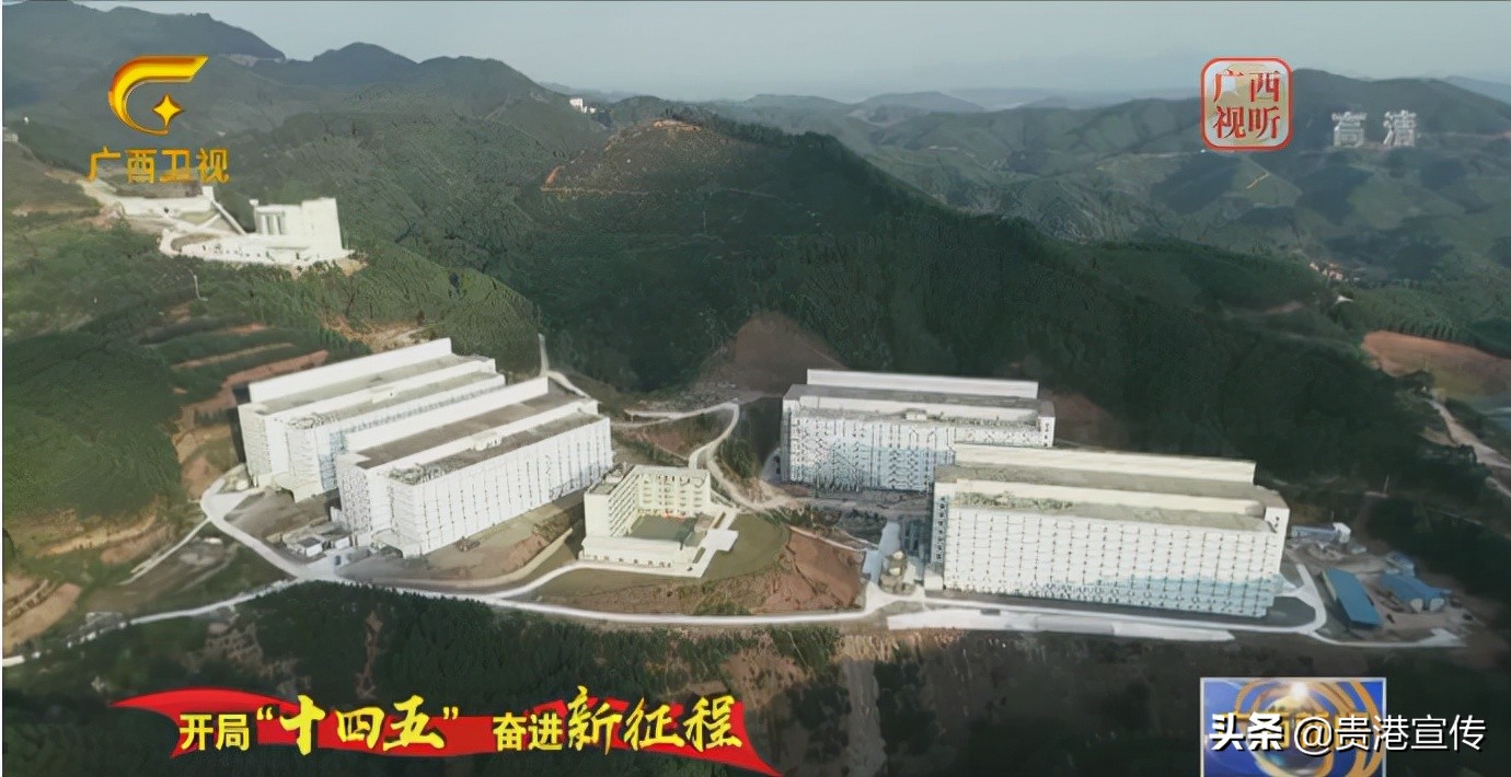 牛犇犇直播视频,牛犇直播人气