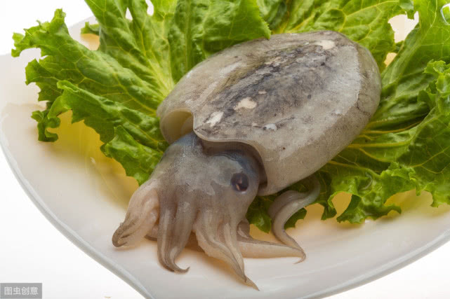 乌贼的营养价值及禁忌,乌贼的好处和坏处