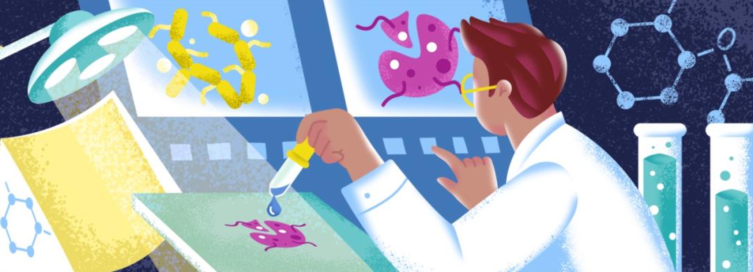 最新的抗真菌药物,深度抗真菌药物