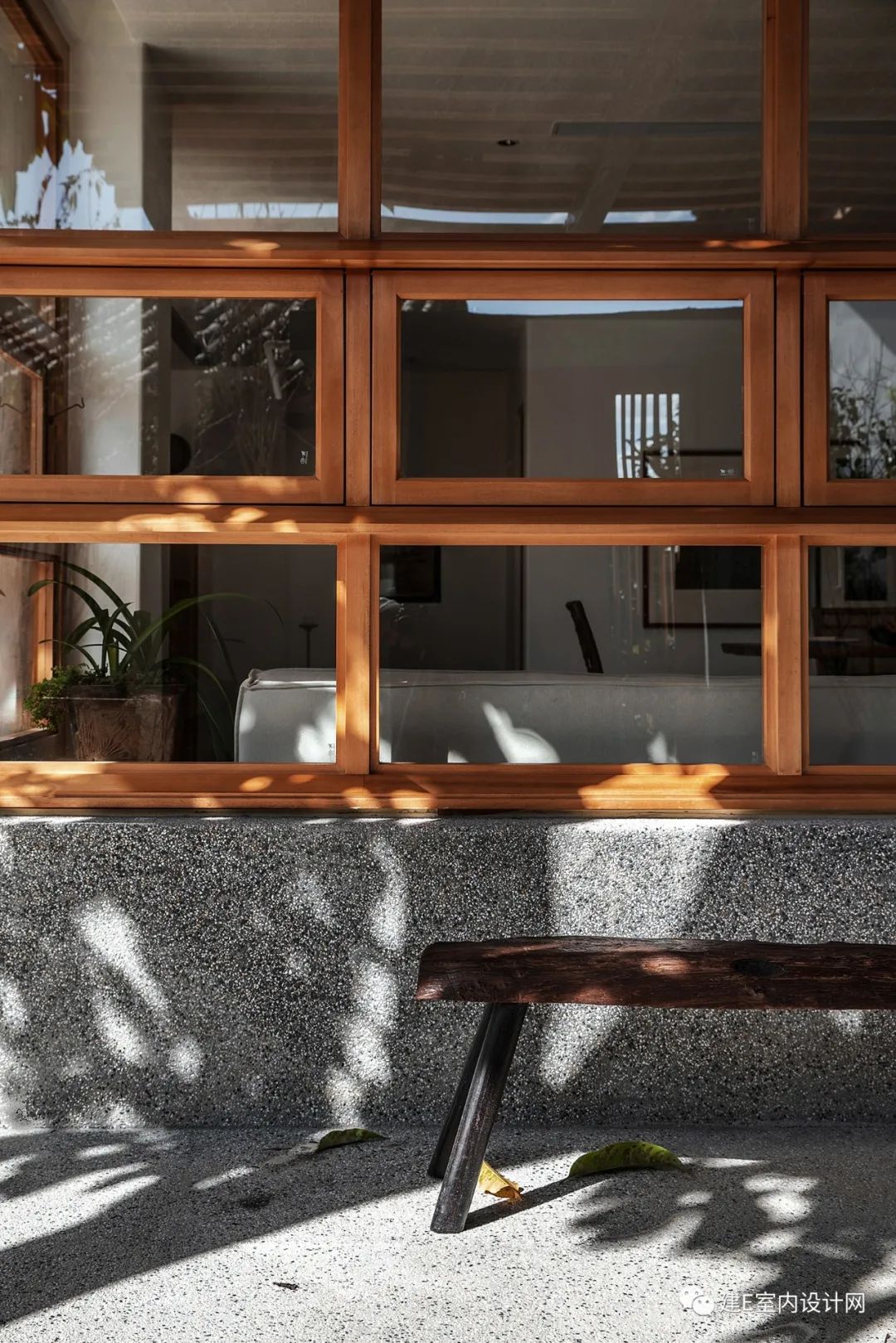 乘风破浪谢柯,谢柯个人简历