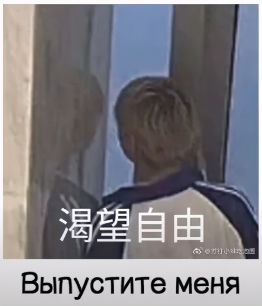 笑死,“最惨打工人”利路修红回俄罗斯!数万俄网友求中国粉丝放人