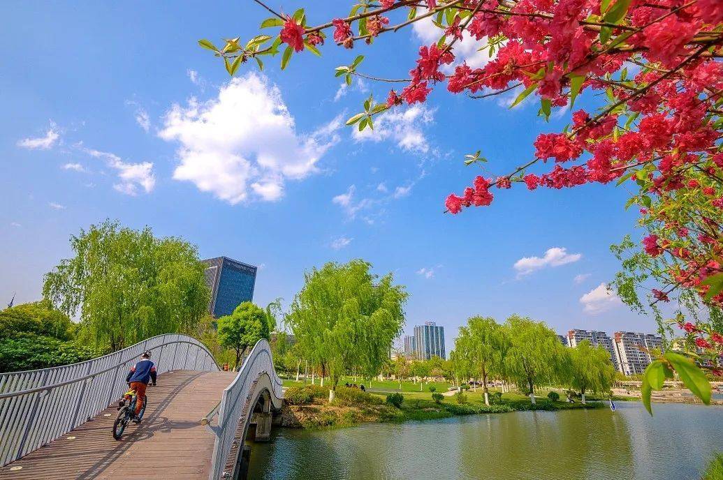 嘉兴市和苏州哪个发达,嘉兴和哪四个一线城市接壤