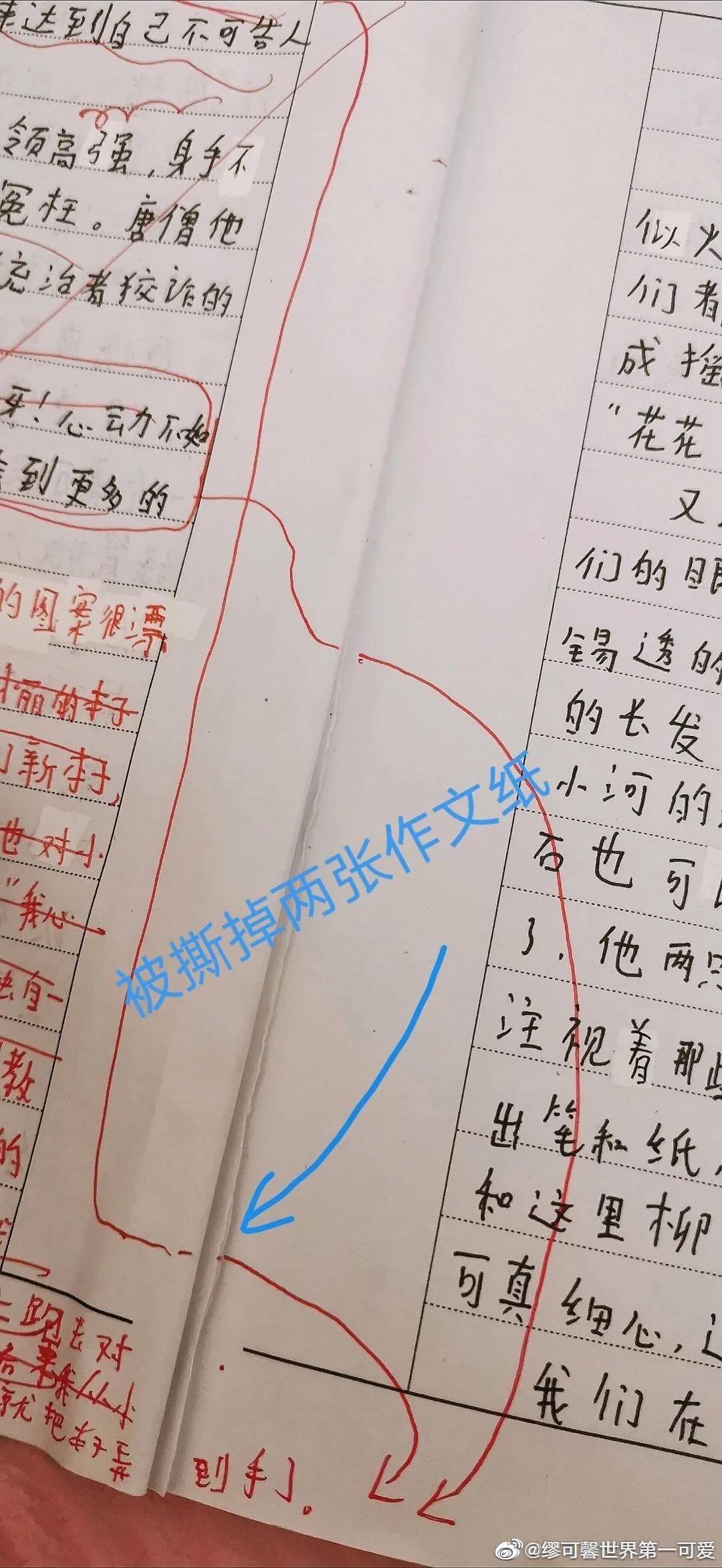 王振华花了10万元，请一个9岁女孩去酒店聊天？不知道你信不信，反正我是不信的