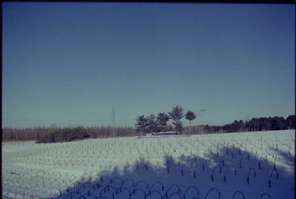 新手玩胶片机,怎么选择胶片机