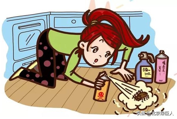 办公室有蟑螂怎么办能除掉,办公室蟑螂怎么来的