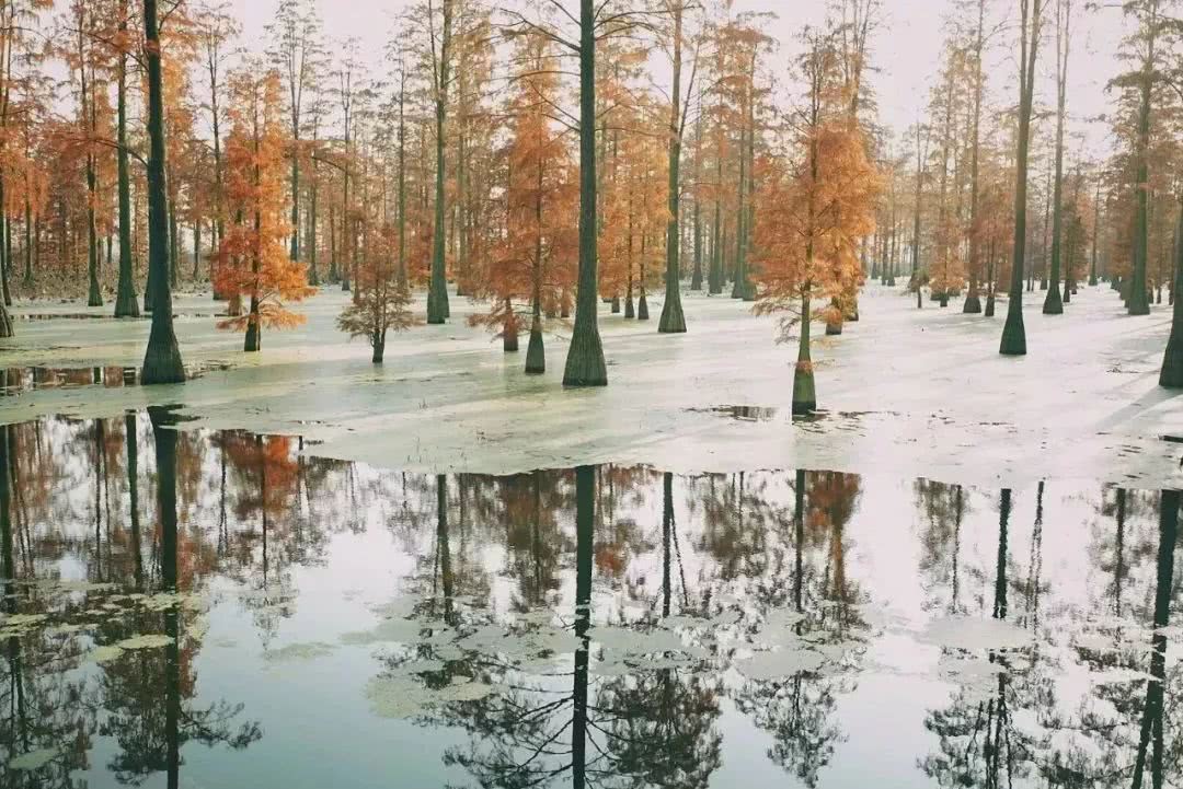 武汉21个免费景点,武汉43个免费景点出炉