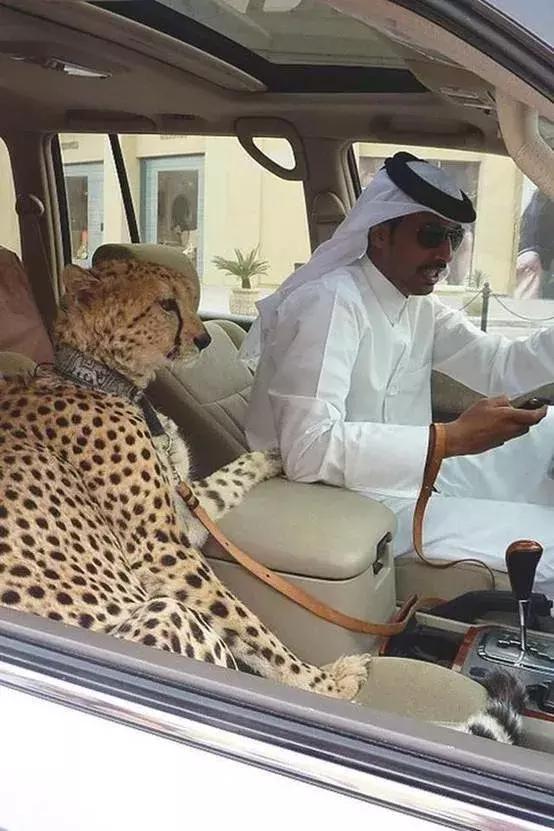 迪拜到底多有钱呢,迪拜土豪来中国给小费