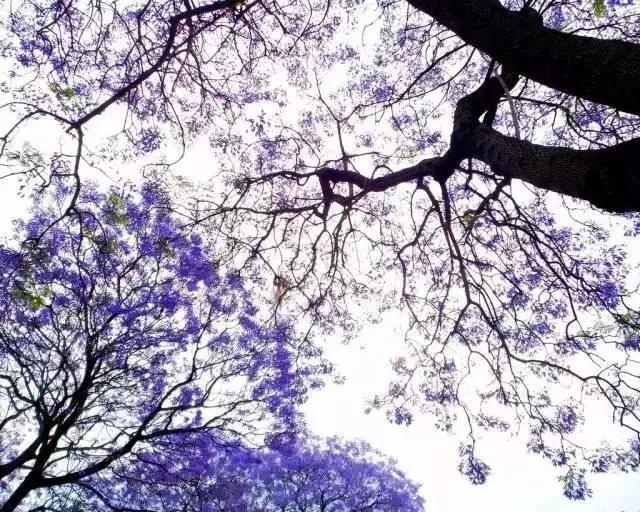 四川这座隐匿千年的古城,四川这座隐藏在喧闹中的千年古镇