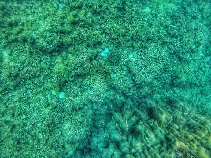 越南胡志明美奈6天自由行,胡志明美奈大叻芽庄怎么游玩