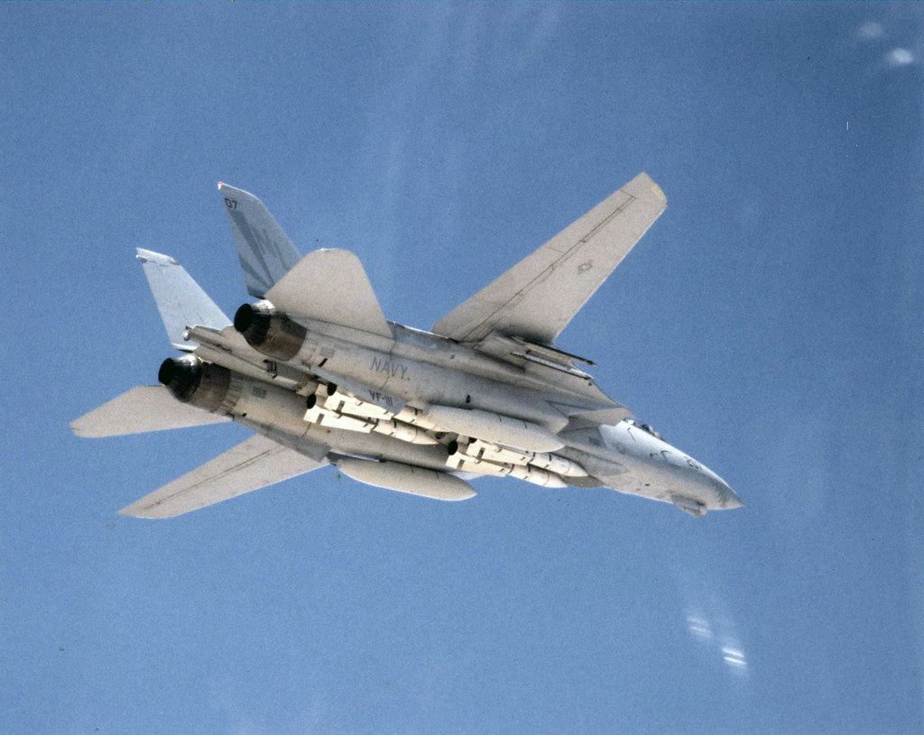 猫咪需要哪些用品,猫迷惑新技能