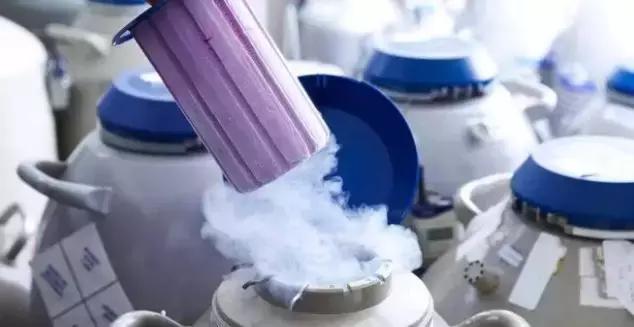 徐静蕾的小孩,徐静蕾是谁的儿子