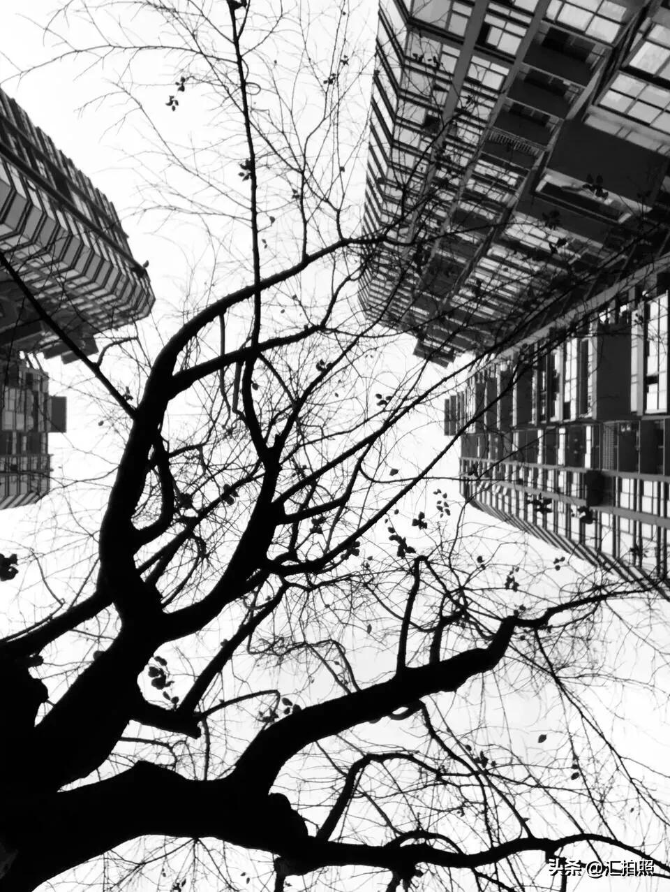 记住摄影口诀,轻松拍出好照片!