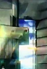 瀹濆彲姊﹂澶寸ぞmv,楠ㄥご绀惧疂鍙ⅵ