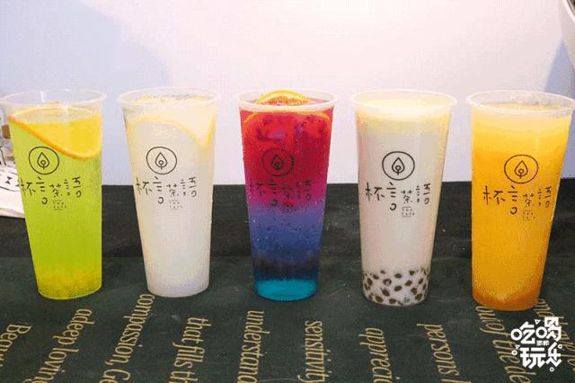 软萌暴击!邯郸这家高颜值猫咖上线,“吸猫”终于提上日程!