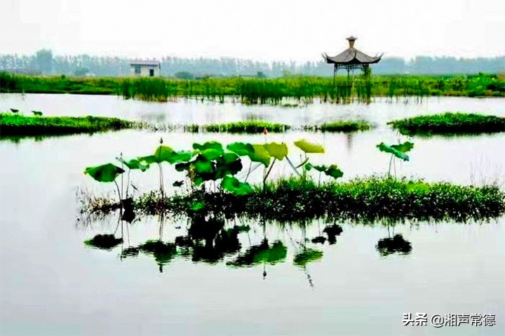 书写安乡情讴歌新时代——章绍君春联集锦