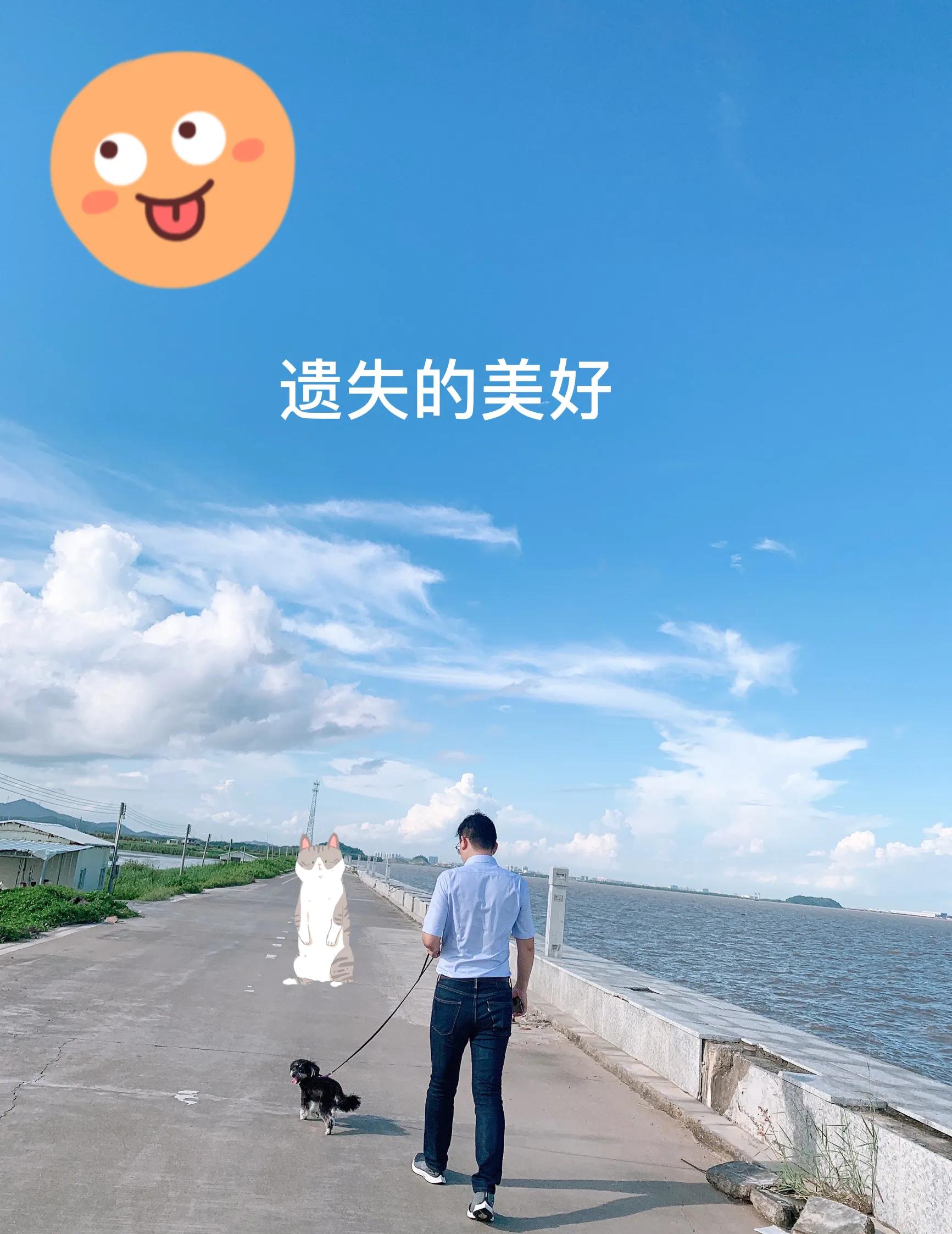 遗失的美好完整版,遗失的美好