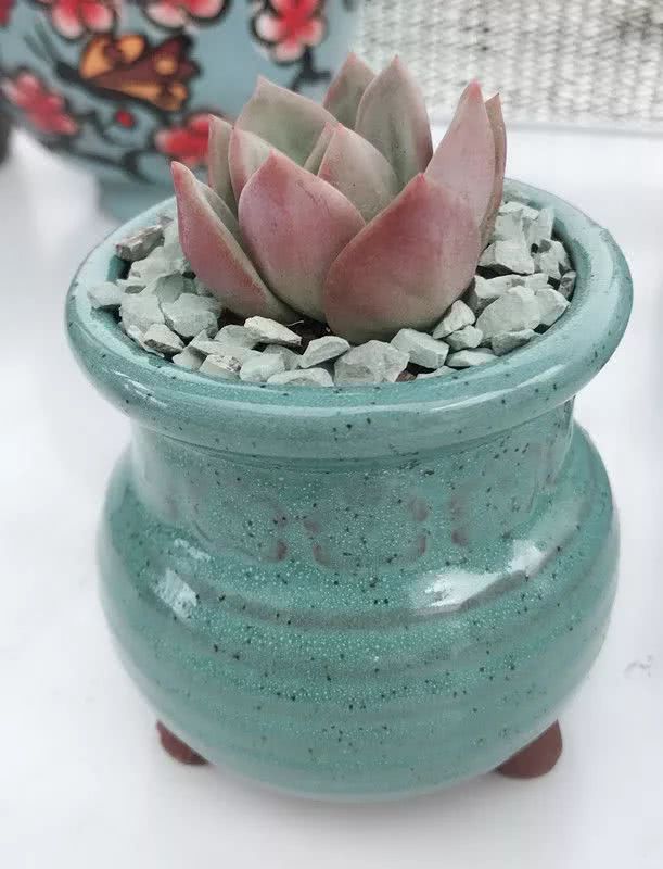 顺风不浪逆风不怂文字图片,顺风不飘逆风不怂绝境不慌