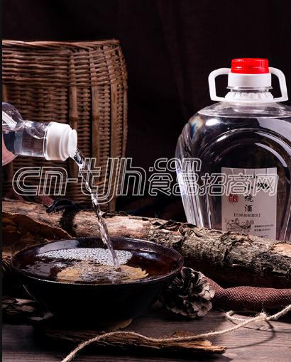 投资小回报高的创业项目,白水杜康酒代理让你创造财富之路