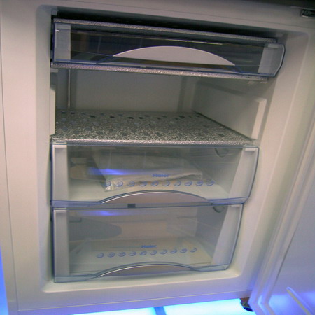 新金刚菩提有虫子怎么办,金刚菩提虫蛀