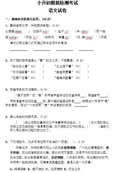 名师整理|2020年小升初语文全国名校真题卷+复习卷(附答案)