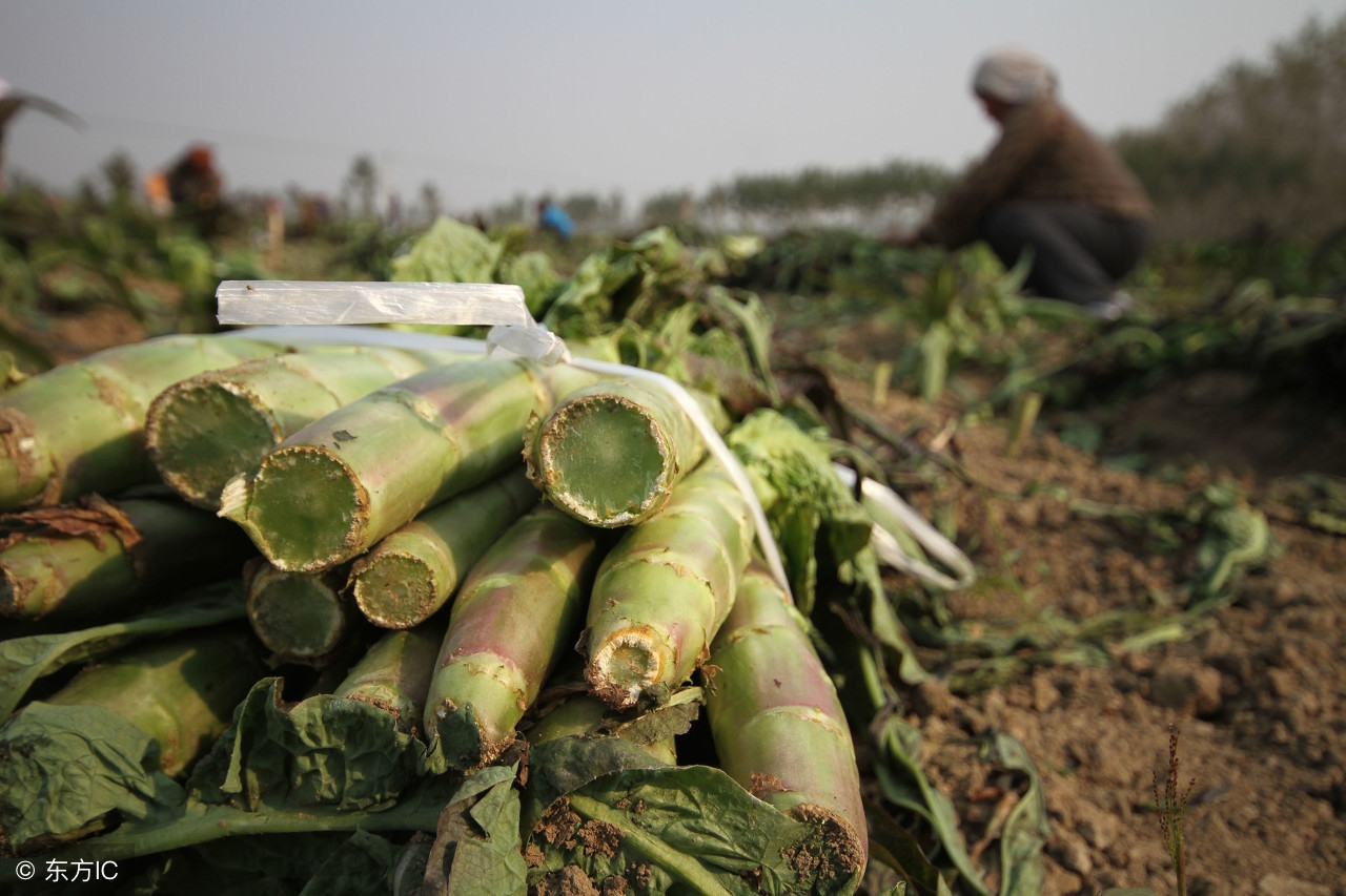 长期失眠最痛苦的方法,区分短期失眠与慢性失眠时间