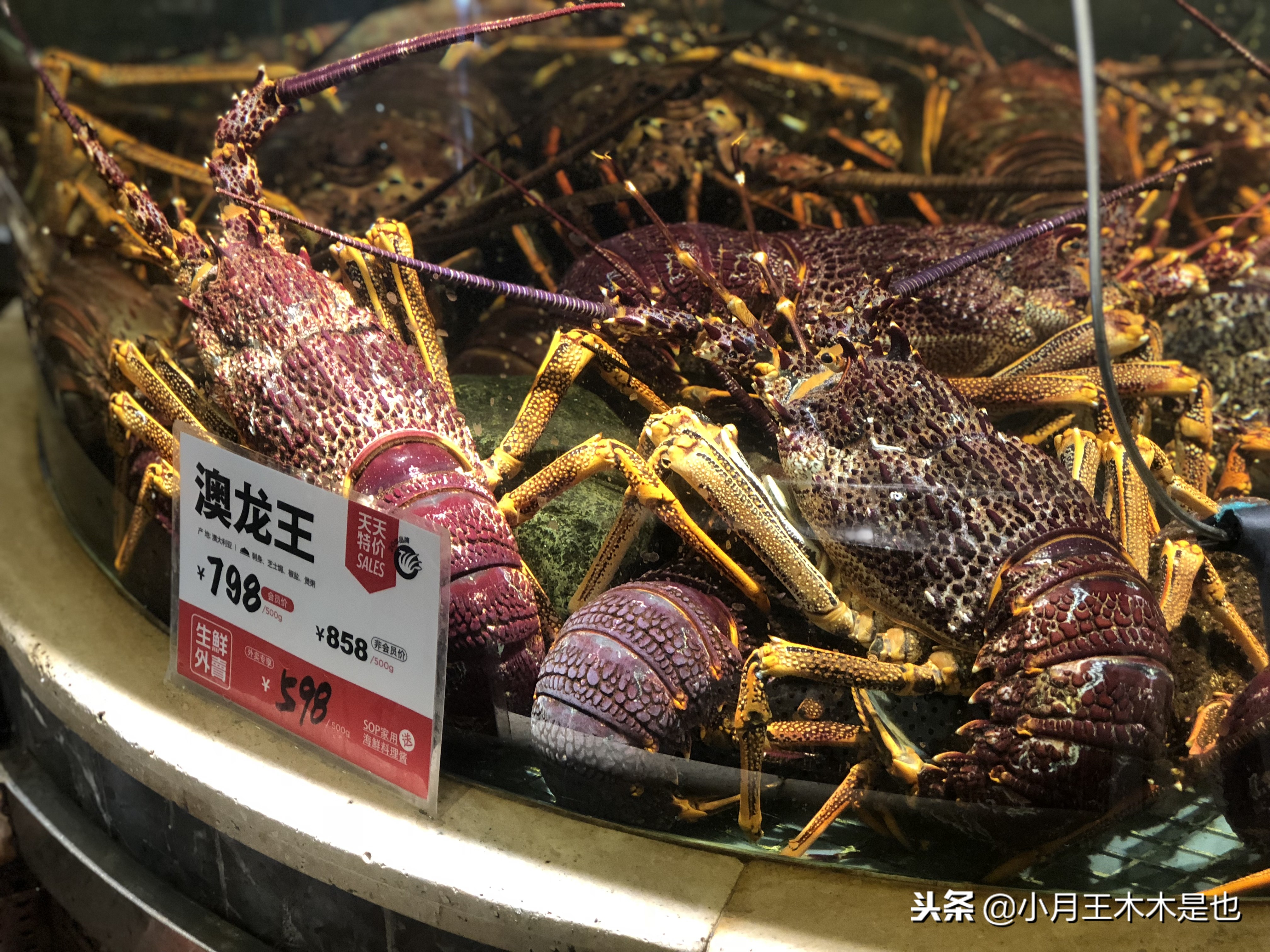 豪生粤式点心自助,半米田粤式点心广州