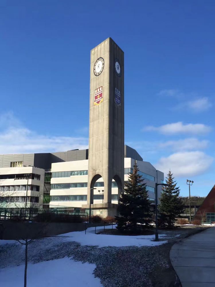 纽芬兰纪念大学毕业好找工作吗,纽芬兰纪念大学留学申请