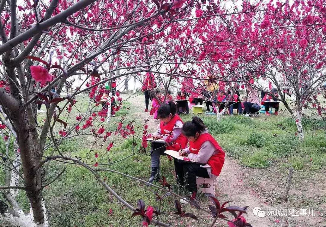 南阳老徐,河南南阳老徐最新视频