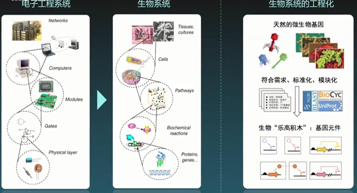 生物可降解塑料前景,生物可降解塑料是什么原料