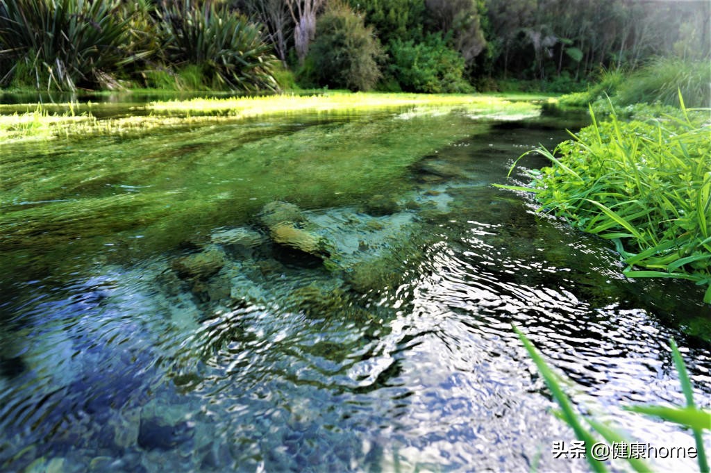 新西兰霍比特人村攻略,新西兰霍比特蓝泉一日游