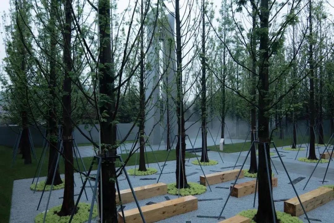 易境庭院,易境自然景观