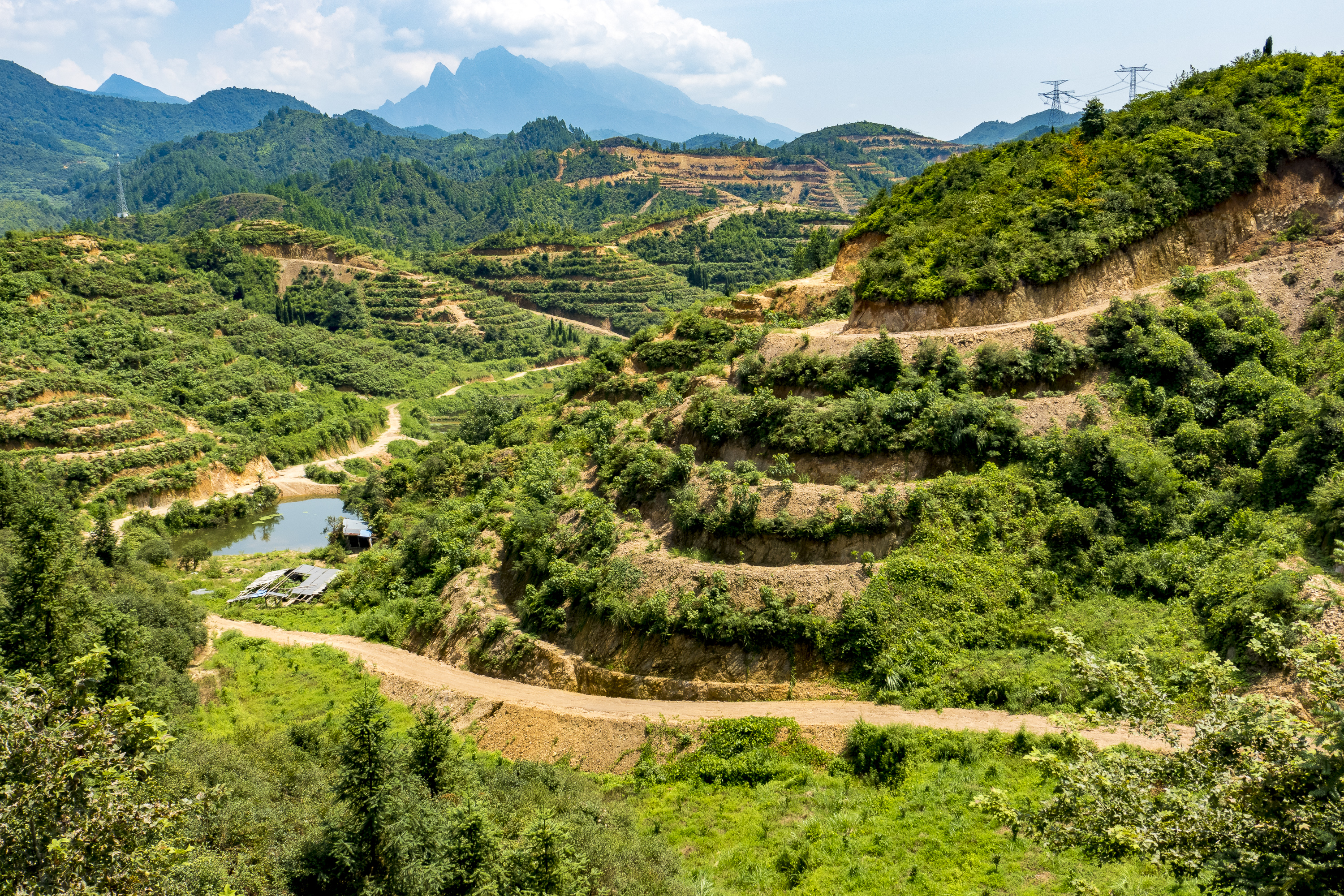 璁插笀寰愬己,寰愬己鏁欐巿婕旇瑙嗛