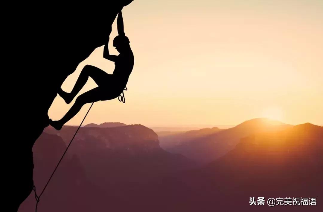 渡人渡己更难,渡人渡己小说完整版