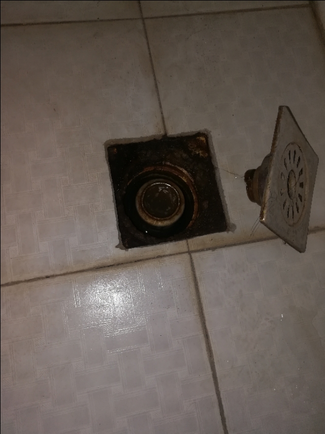 怎么捉住家里的老鼠,什么办法逮住屋里的老鼠