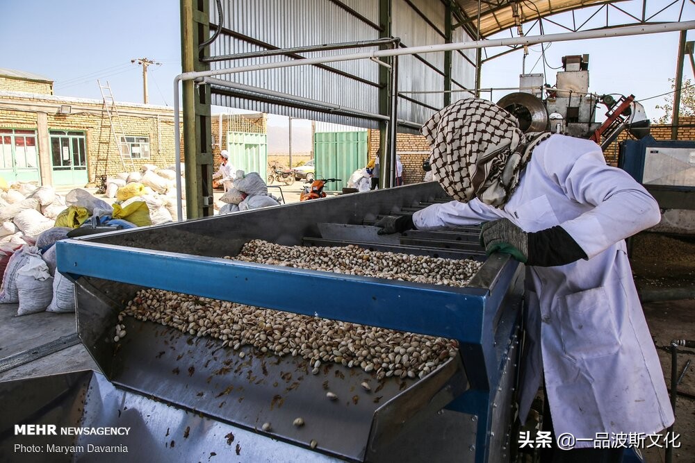 伊朗开心果脆,伊朗特产水果干果