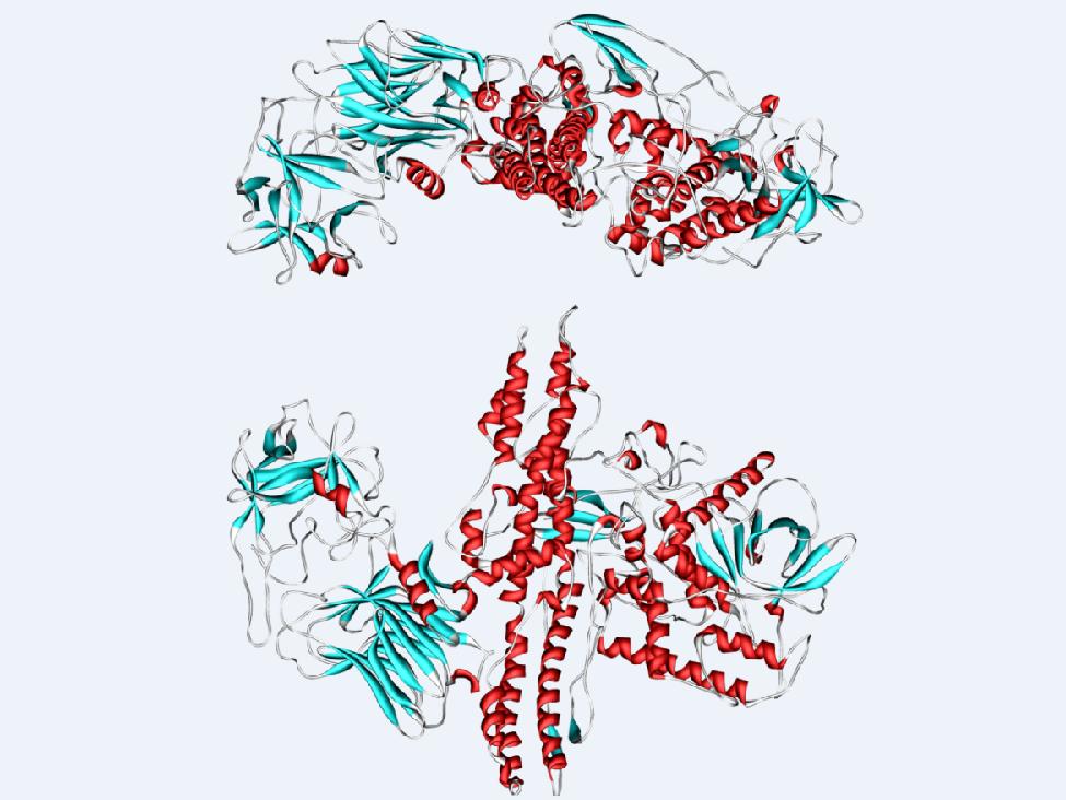 美国军方病毒实验,美国陆军传染病研究中心