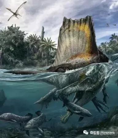 地球上的顶级掠食者,人类是地球上最顶级的掠食者