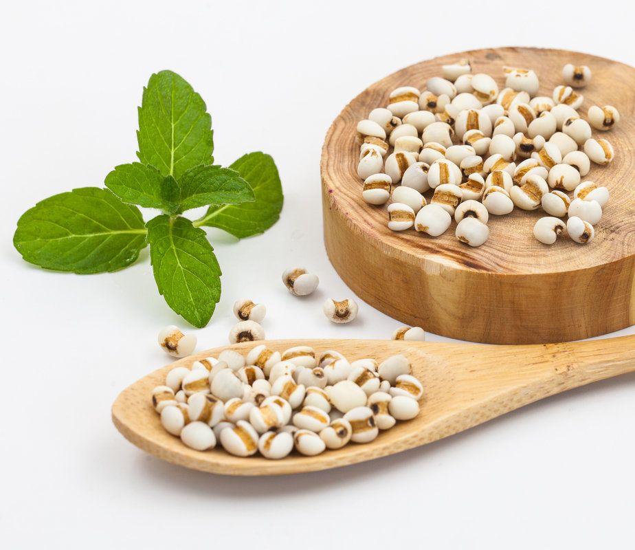 老玉豆种值钱吗,野外常见的豆子是什么